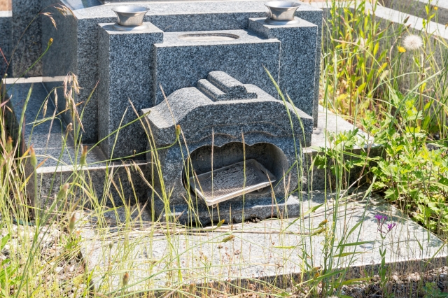 除草・ゴミ拾い